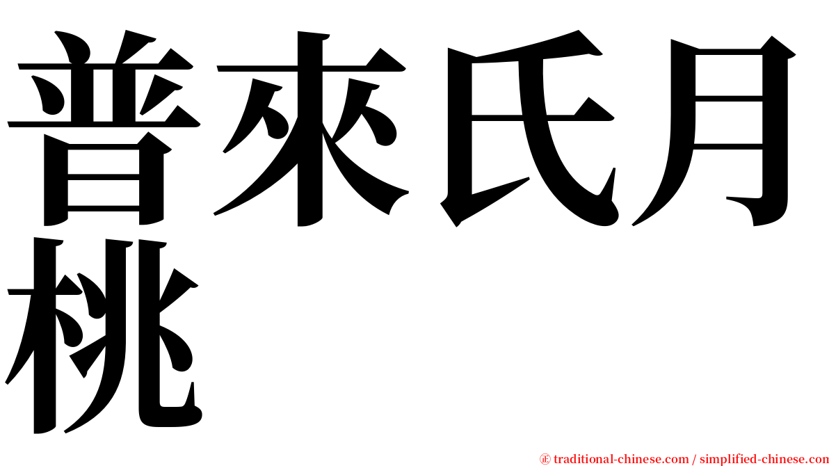 普來氏月桃 serif font