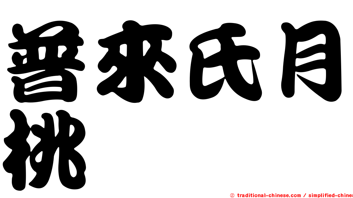 普來氏月桃