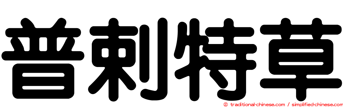 普剌特草