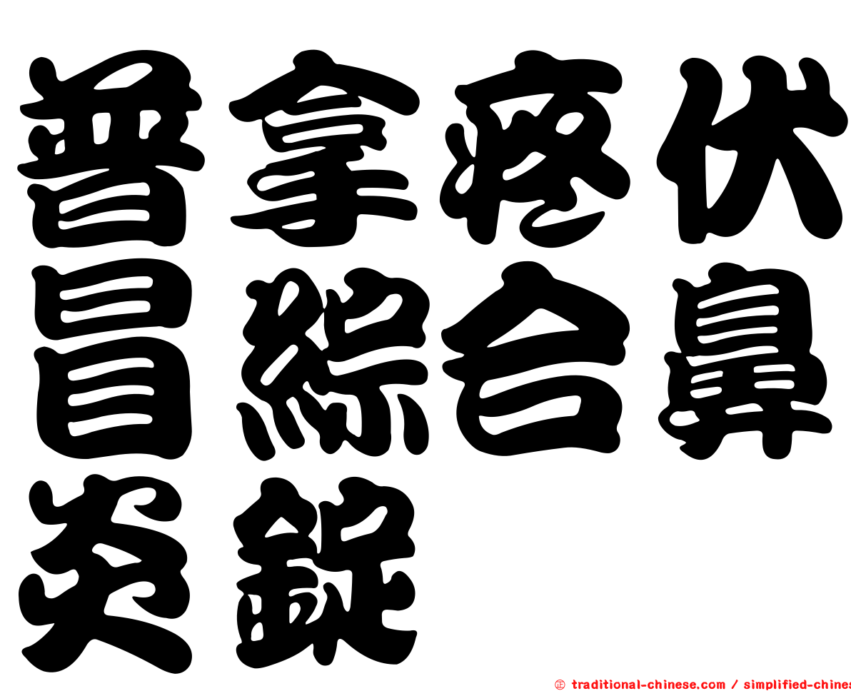 普拿疼伏冒綜合鼻炎錠