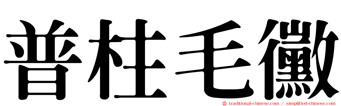 普柱毛黴
