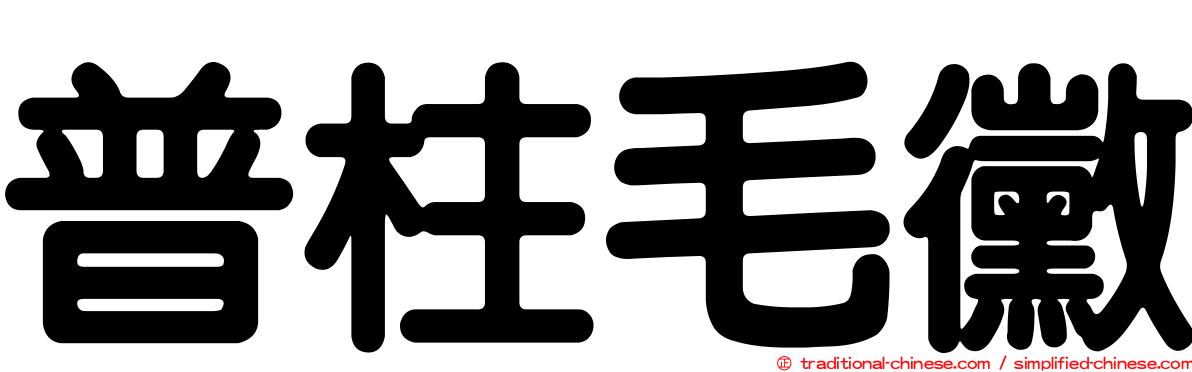 普柱毛黴