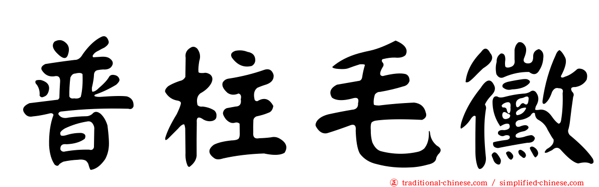 普柱毛黴