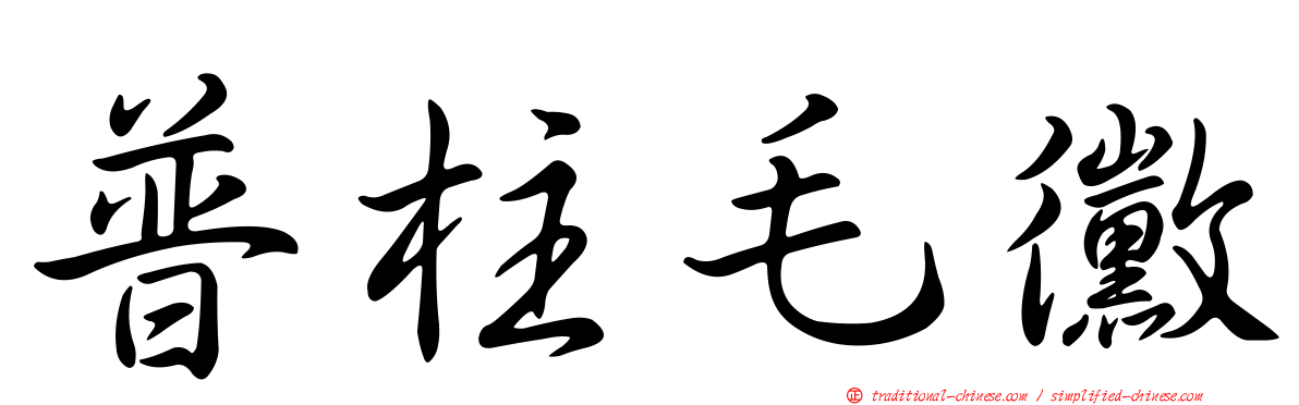 普柱毛黴