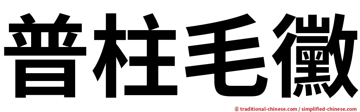 普柱毛黴