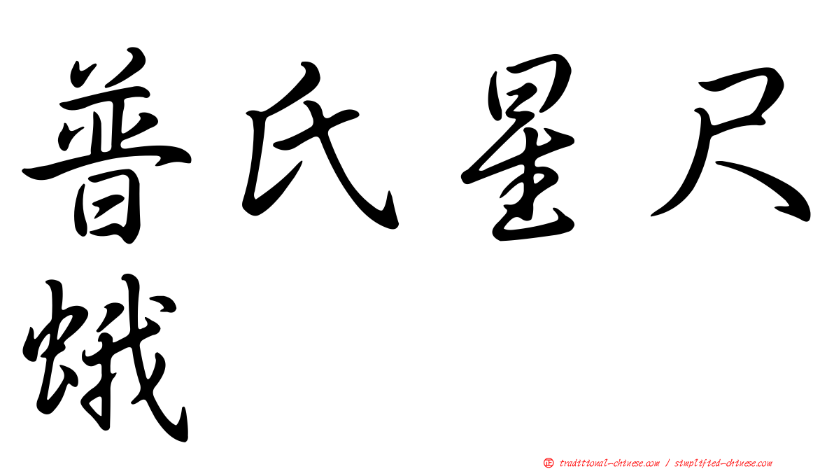 普氏星尺蛾