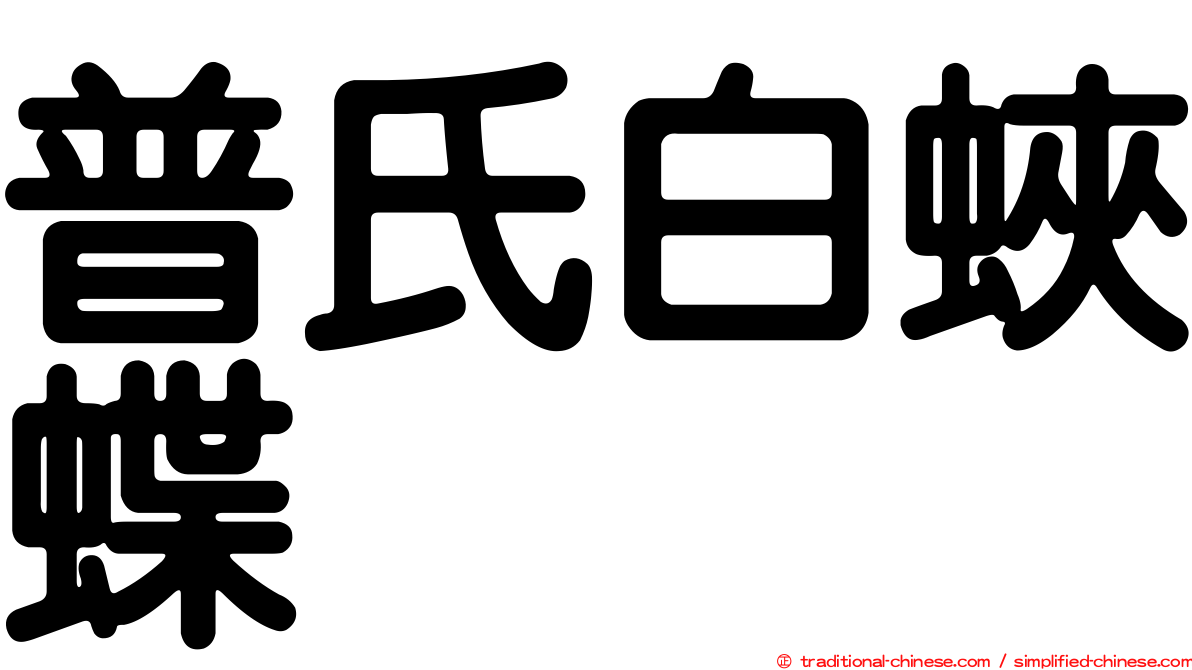 普氏白蛺蝶