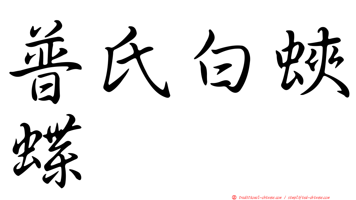 普氏白蛺蝶