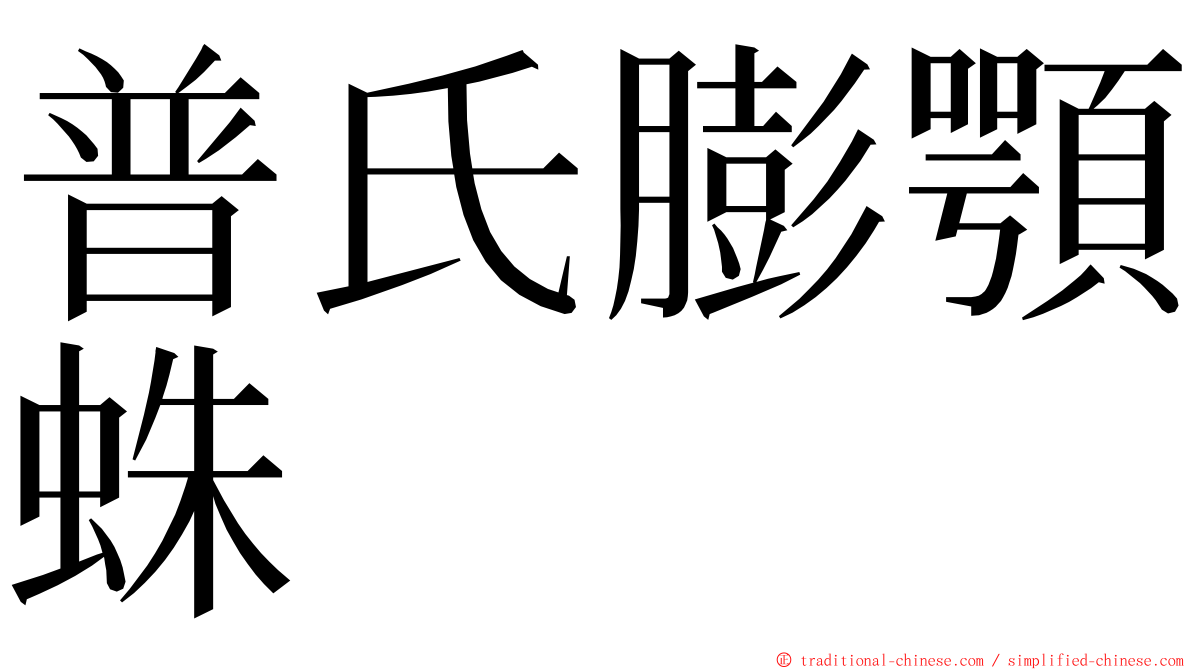 普氏膨顎蛛 ming font