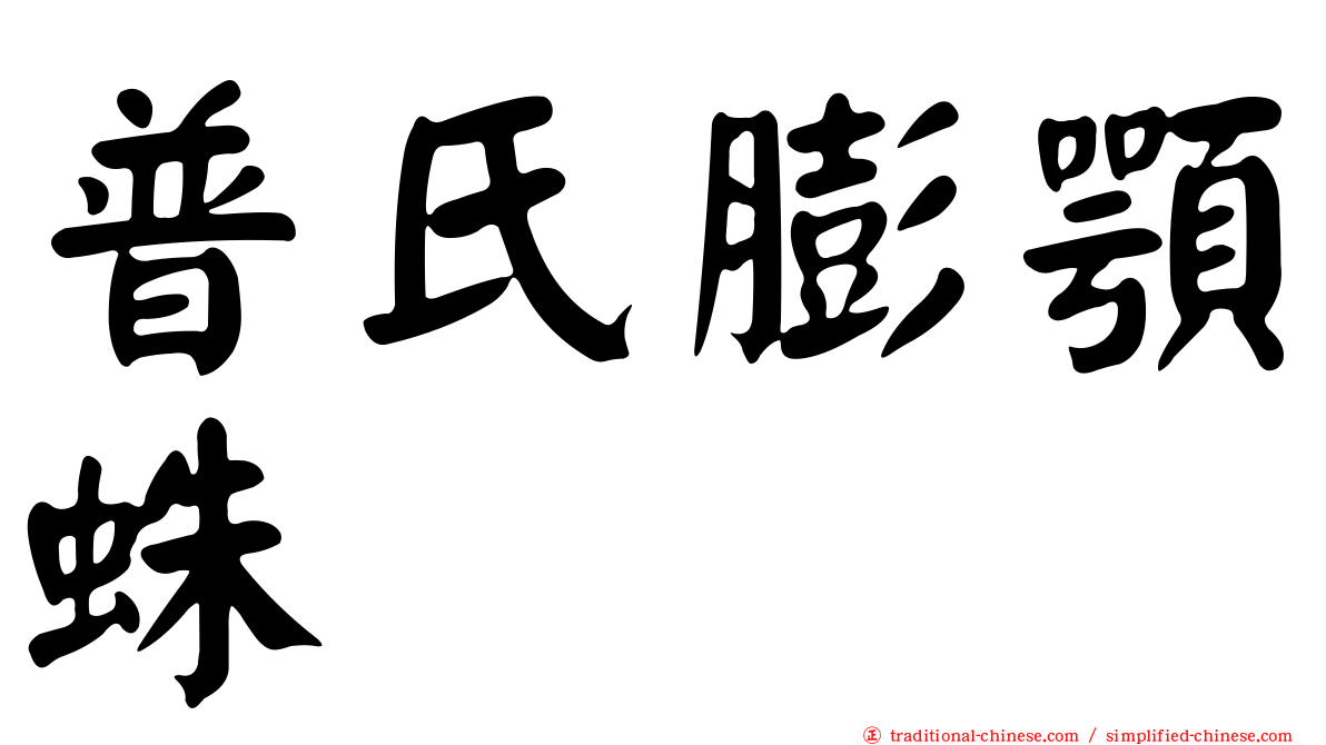 普氏膨顎蛛