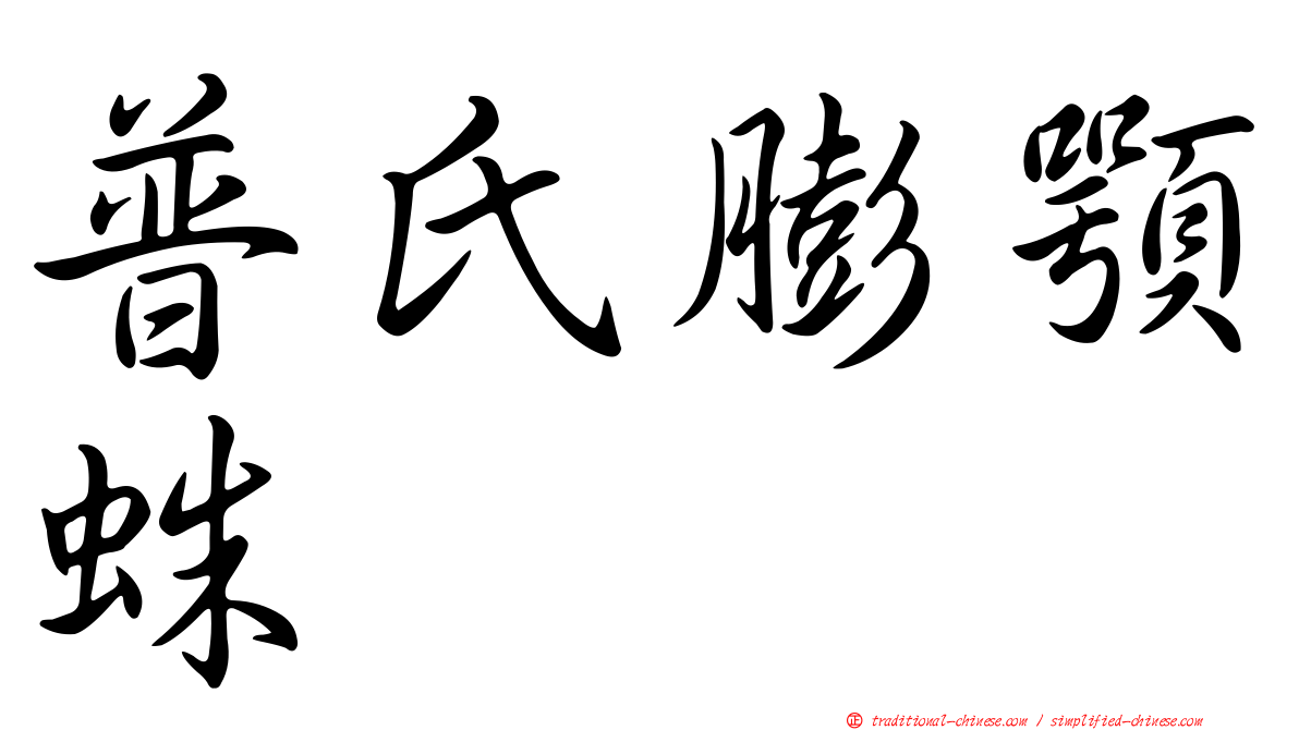 普氏膨顎蛛
