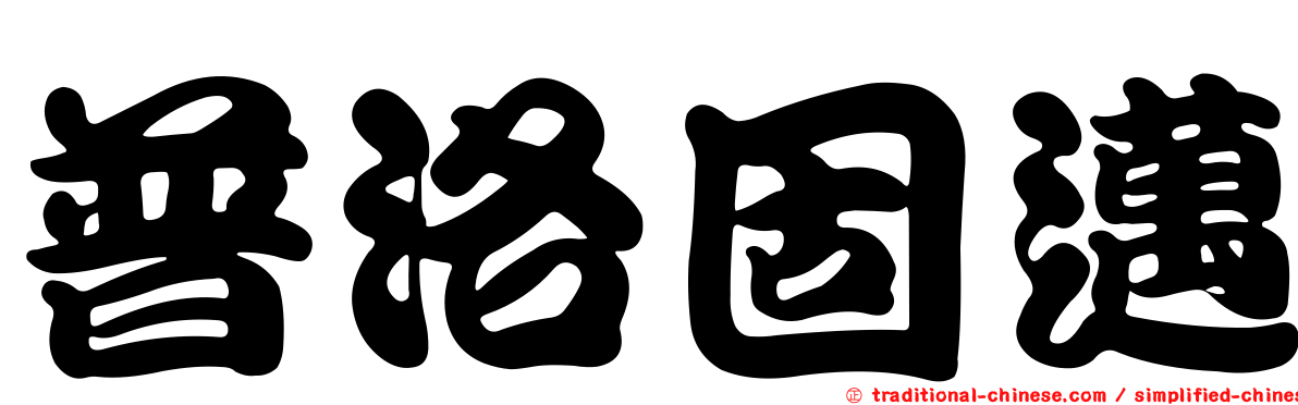 普洛固邁