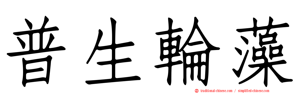 普生輪藻