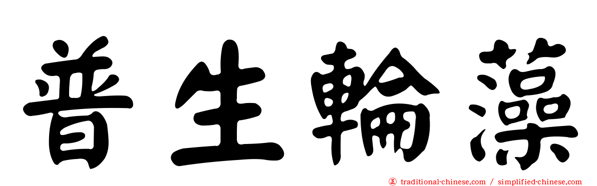 普生輪藻