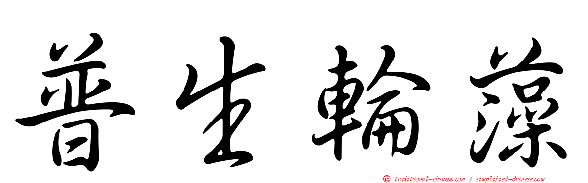 普生輪藻