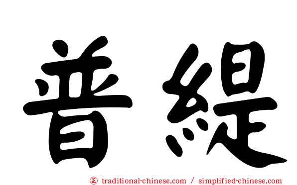 普緹