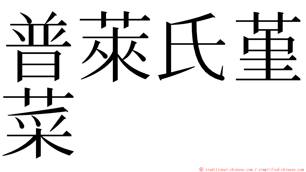普萊氏堇菜 ming font