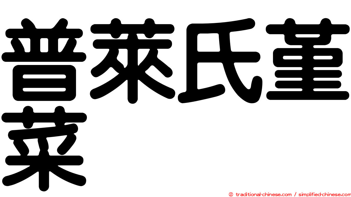 普萊氏堇菜