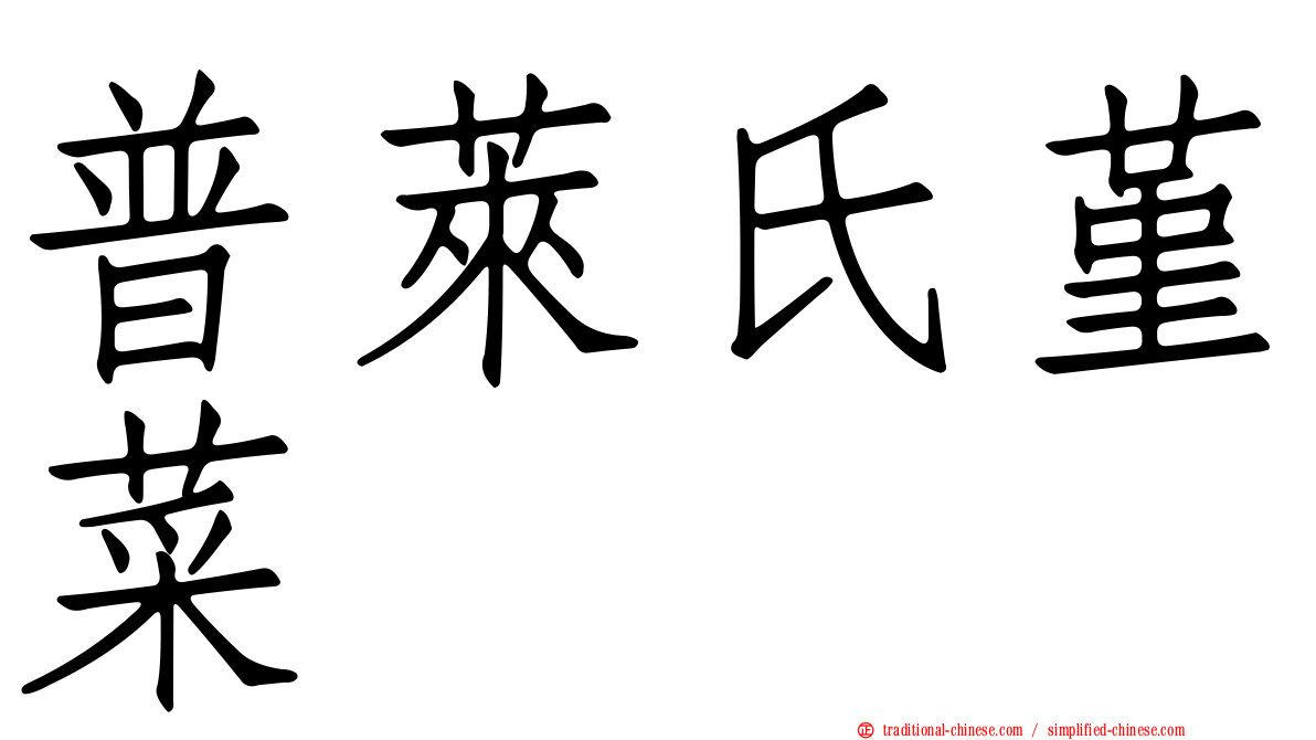 普萊氏堇菜
