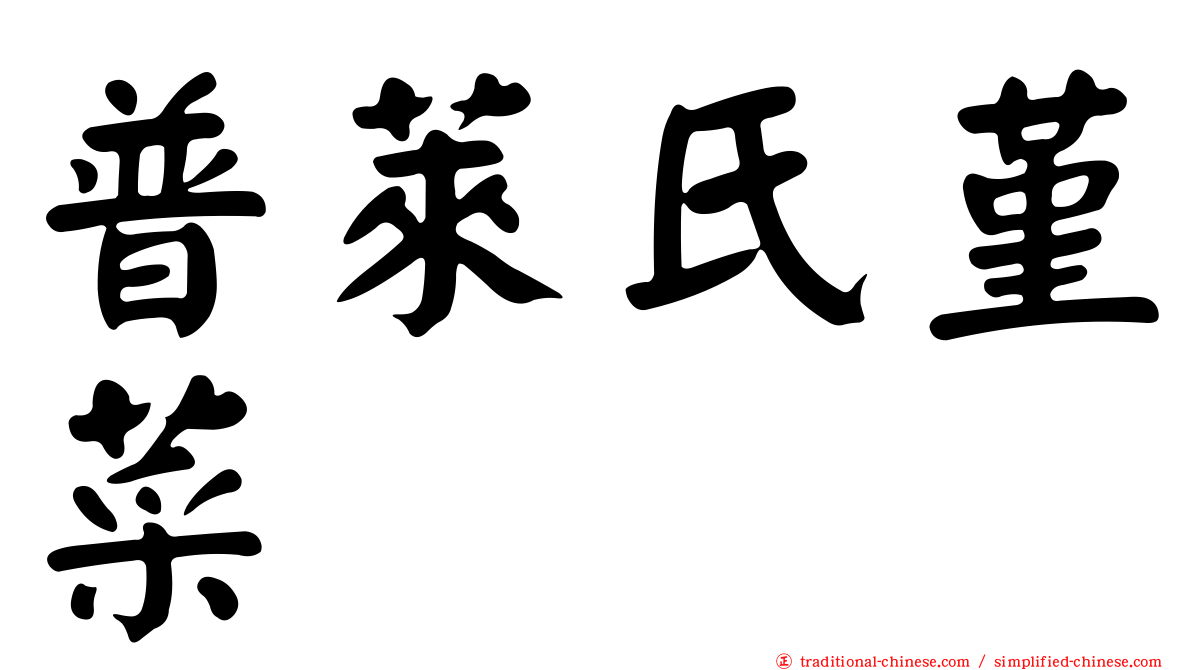 普萊氏堇菜