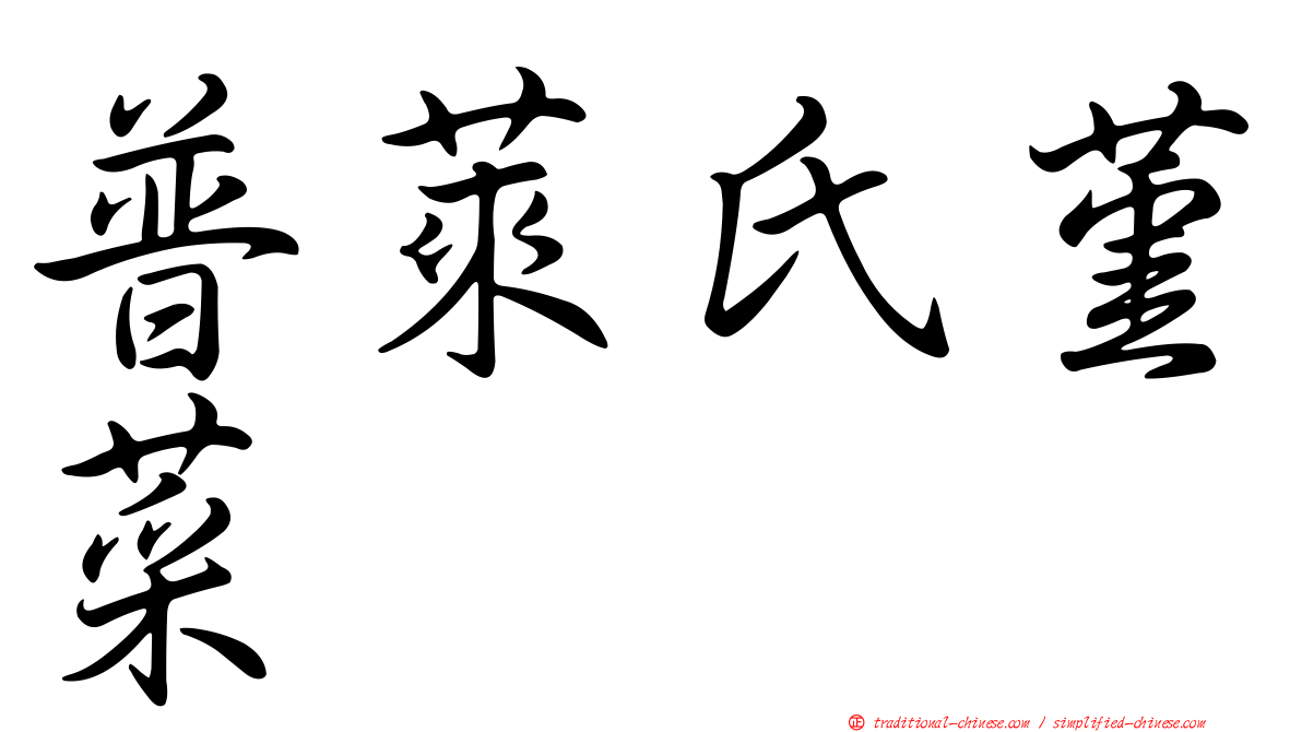 普萊氏堇菜