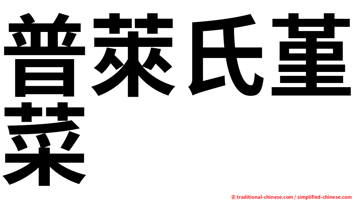 普萊氏堇菜