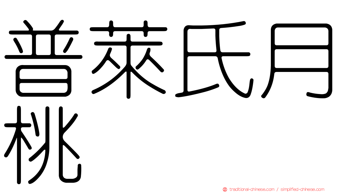 普萊氏月桃
