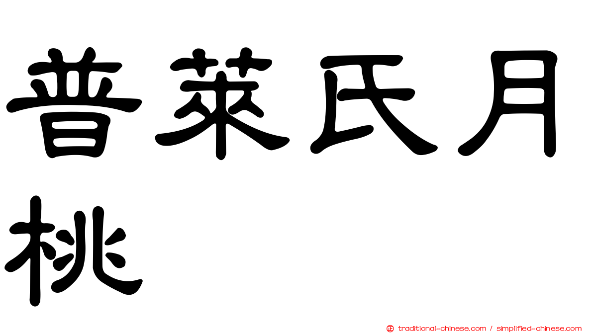 普萊氏月桃