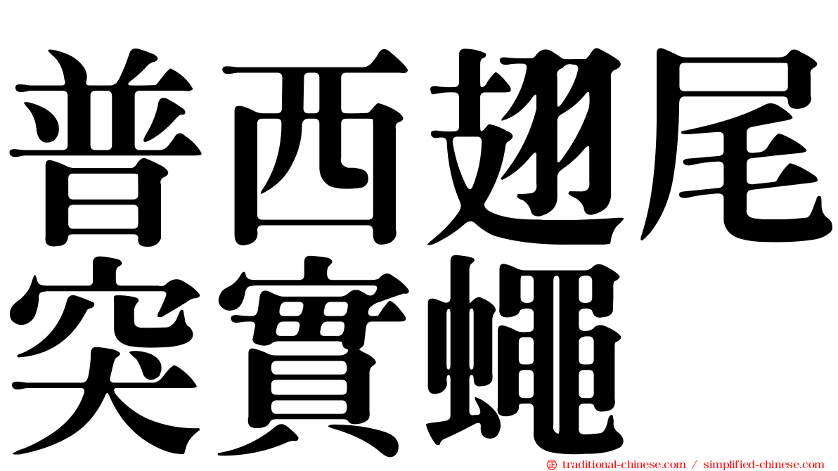 普西翅尾突實蠅