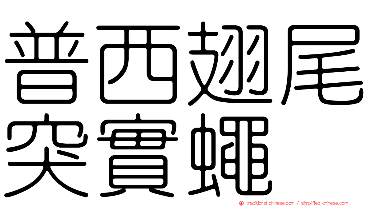 普西翅尾突實蠅