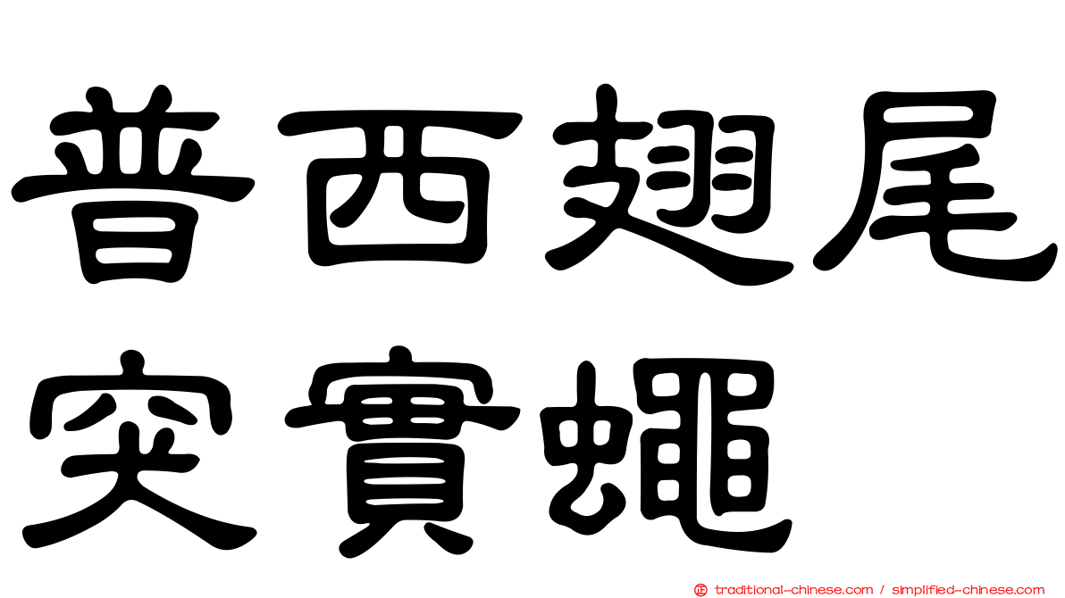 普西翅尾突實蠅