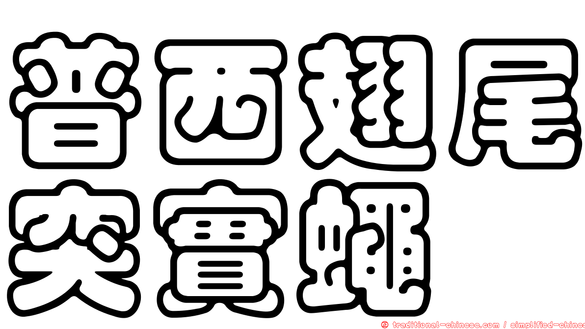 普西翅尾突實蠅