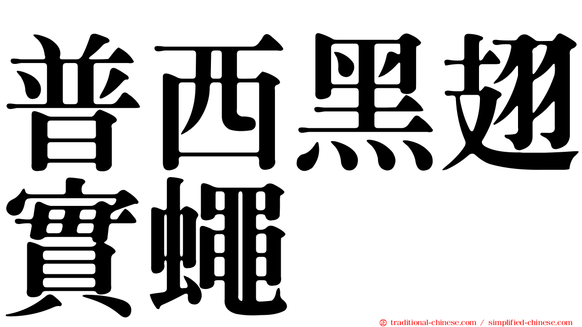 普西黑翅實蠅