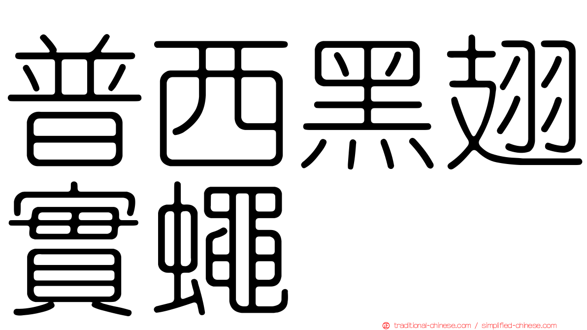 普西黑翅實蠅