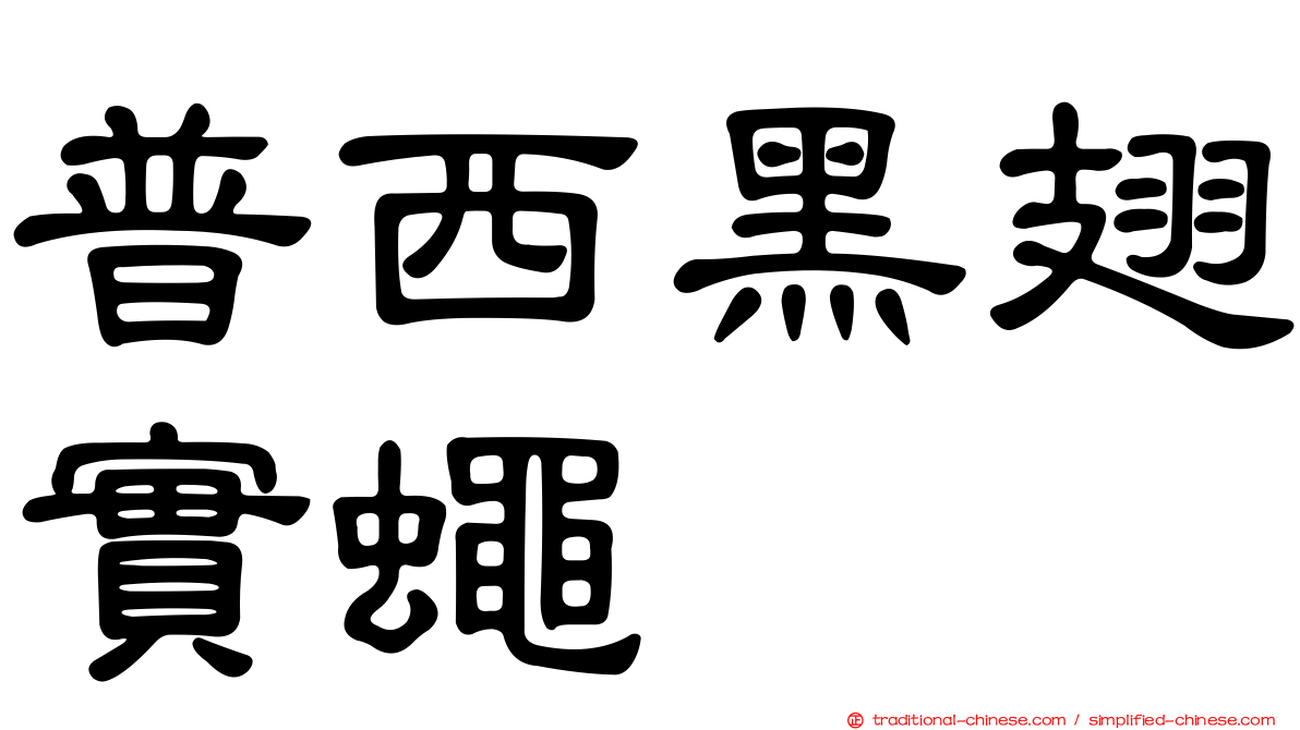 普西黑翅實蠅