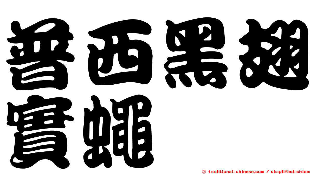 普西黑翅實蠅