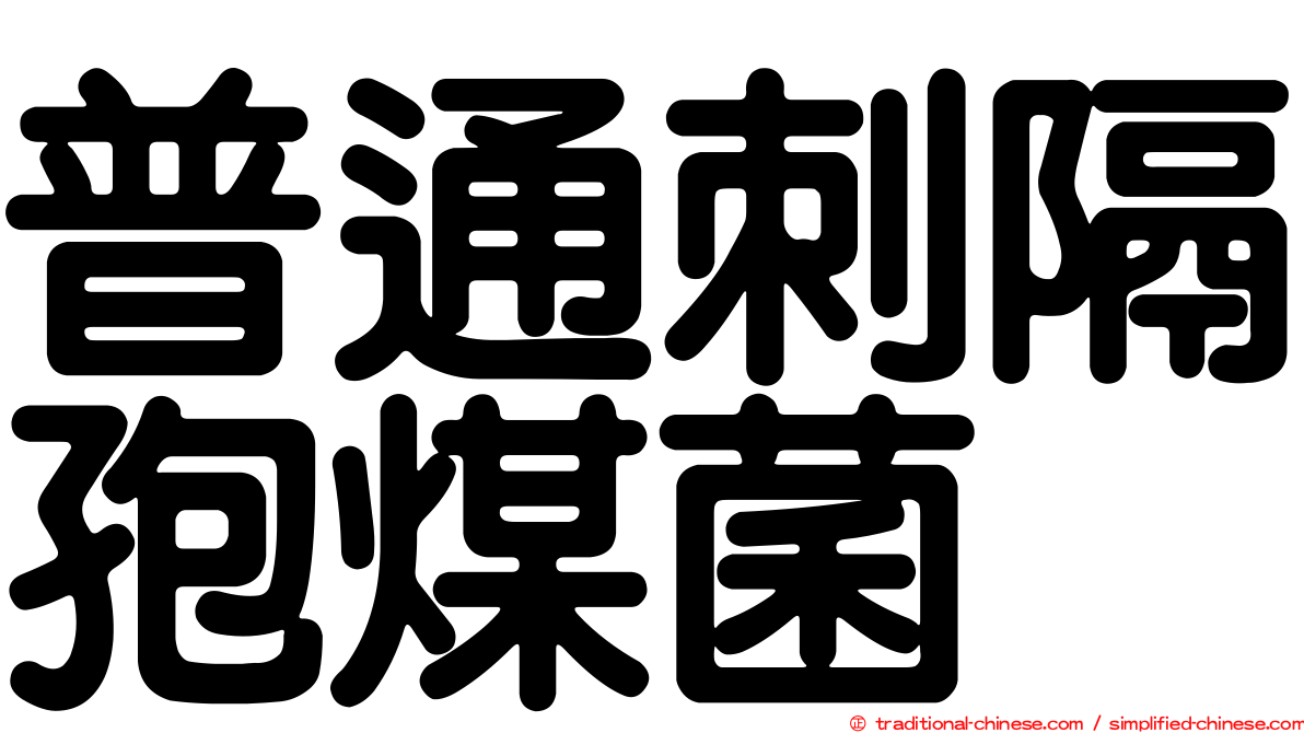 普通刺隔孢煤菌