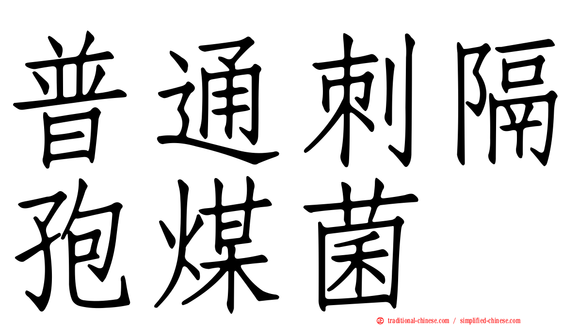 普通刺隔孢煤菌