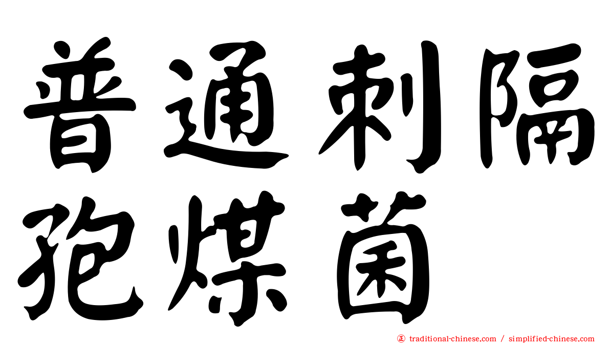 普通刺隔孢煤菌