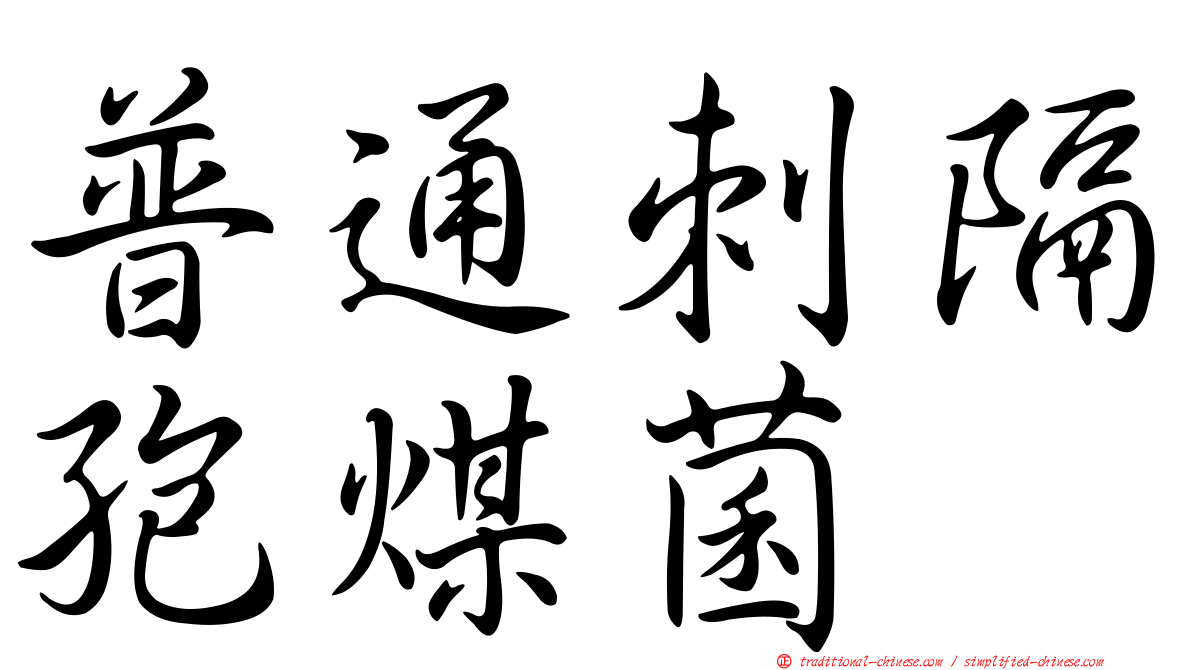 普通刺隔孢煤菌