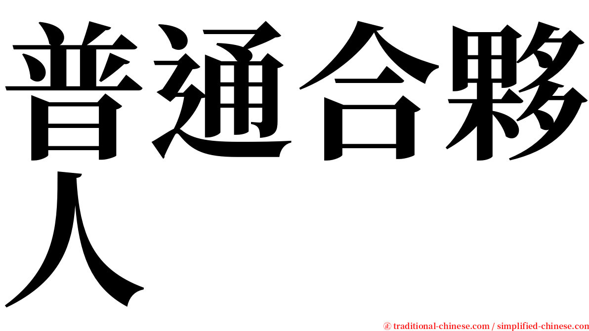 普通合夥人 serif font