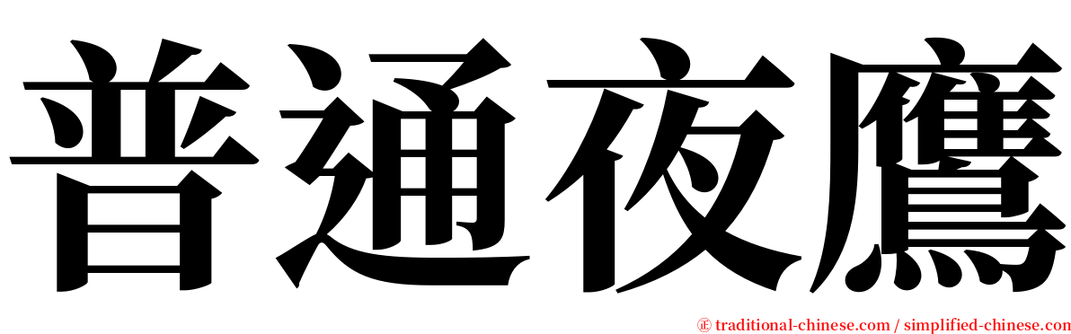 普通夜鷹 serif font