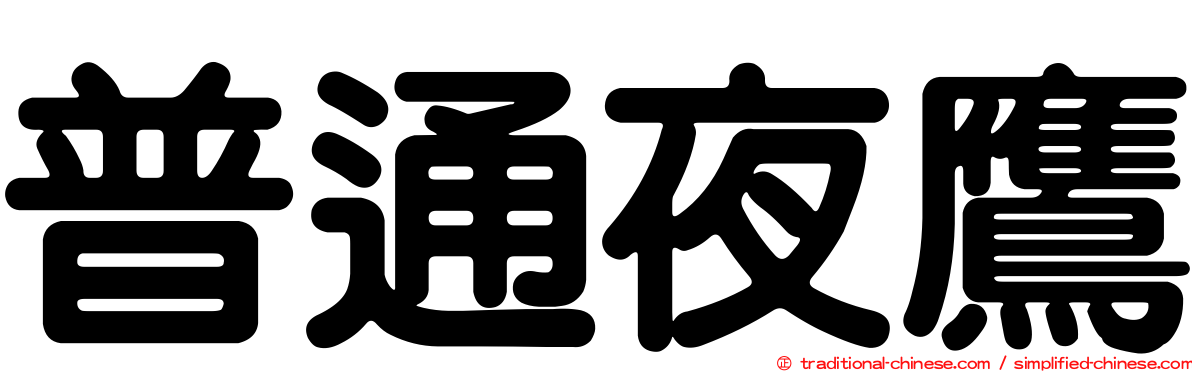 普通夜鷹