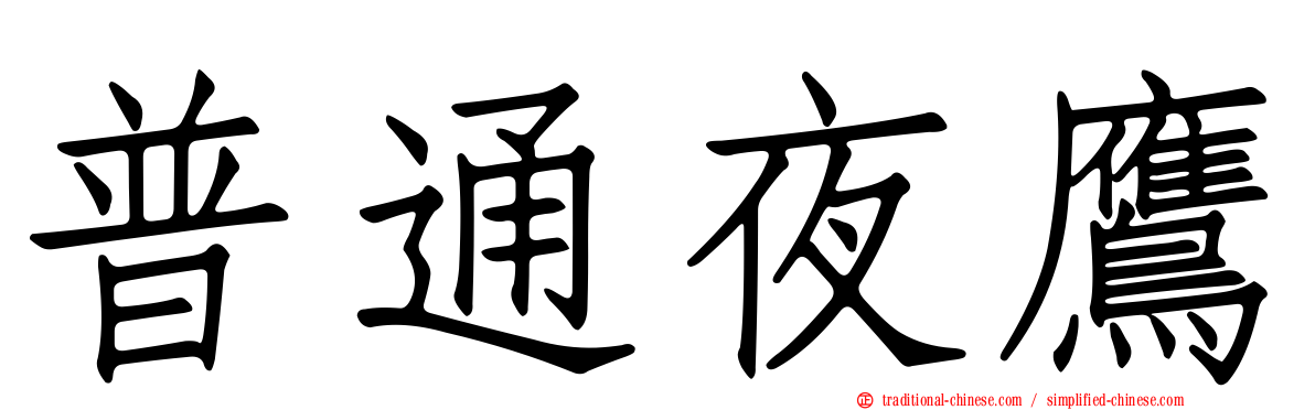 普通夜鷹