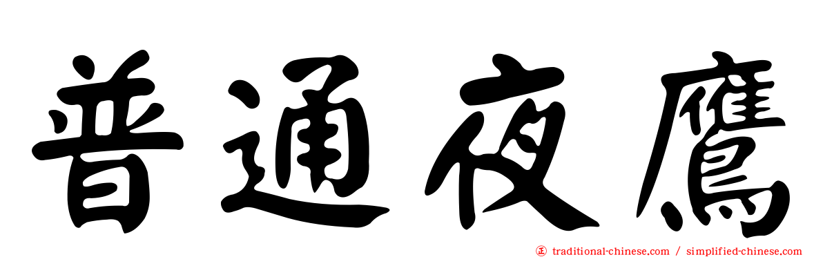 普通夜鷹