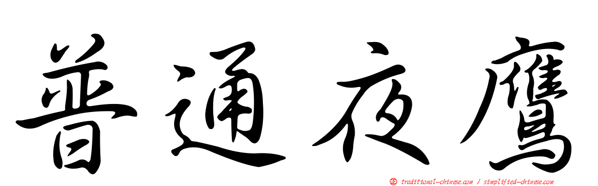 普通夜鷹
