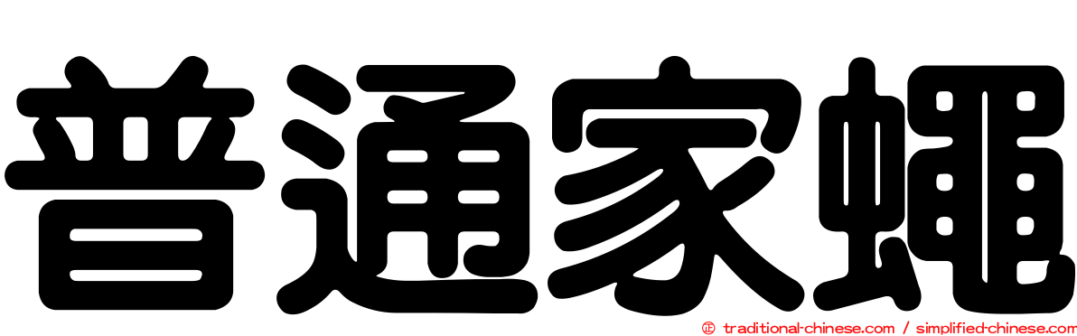 普通家蠅