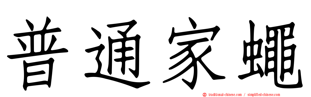 普通家蠅