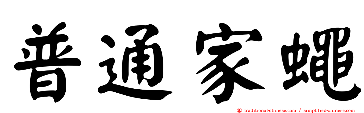 普通家蠅