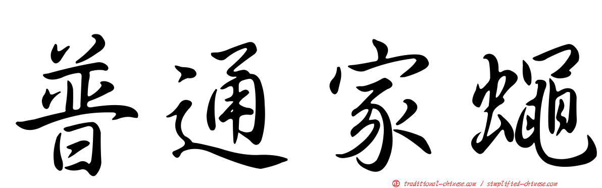 普通家蠅